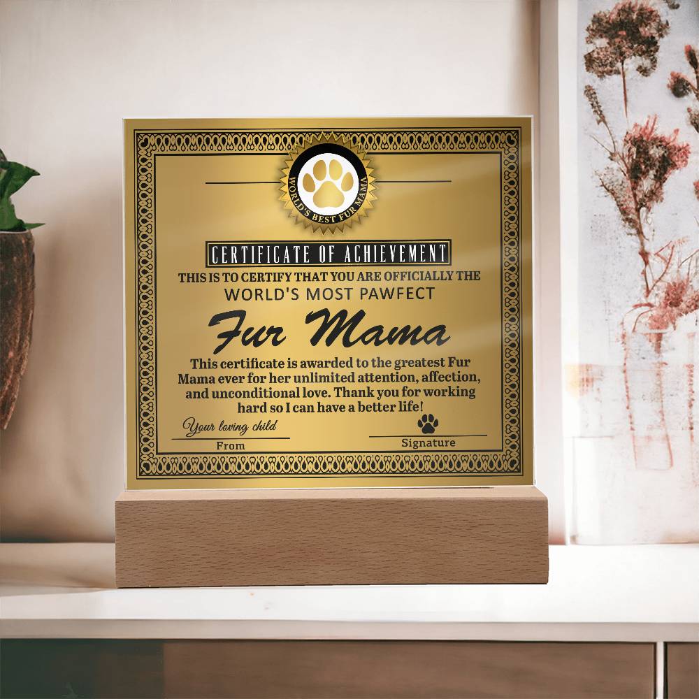 To My Fur Mama, Certificate Of Achievement, Square Acrylic Plaque